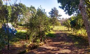 Imagem 4: Chácara com 2 Dormitorio(s) localizado(a) no bairro Santa Cruz da Concórdia em Taquara