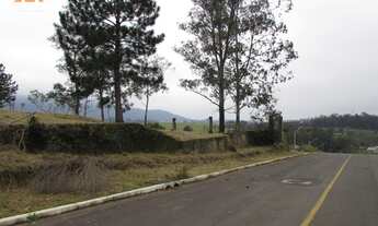 Imagem: Terreno com 3 Dormitorio(s) localizado(a)