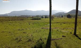 Imagem: Área de Terra com 3 Dormitorio(s) localizado(a)