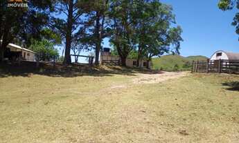 Imagem 6: Fazenda com 3 Dormitorio(s) localizado(a) no bairro em Herval / Rio Grande do Sul Ref.:1