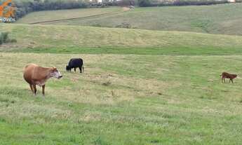 Imagem 3: Área de Terra com 515 hectares em Bagé (Palmas