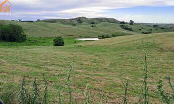 Imagem 5: Área de Terra com 515 hectares em Bagé (Palmas