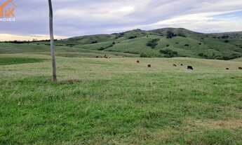 Imagem 6: Área de Terra com 515 hectares em Bagé (Palmas