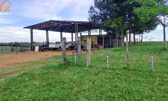 Imagem 7: Área de Terra com 515 hectares em Bagé (Palmas