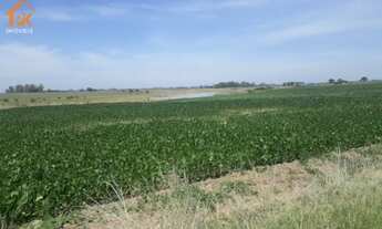 Imagem: Área de Terra com 4 Dormitorio(s) localizado(a)