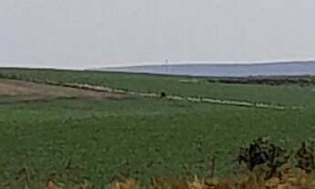 Imagem 2: Área de Terra com 4 Dormitorio(s) localizado(a) no bairro Barro Vermelho em Cachoeira do