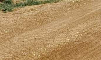 Imagem 5: Área de Terra com 4 Dormitorio(s) localizado(a) no bairro Barro Vermelho em Cachoeira do