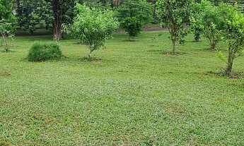 Imagem: Ótima chácara na zona rural de Araricá