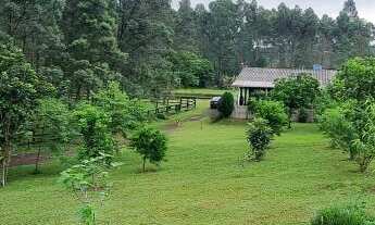 Imagem 5: Ótima chácara na zona rural de Araricá no bairro Ponto Palmeira
