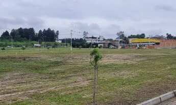 Imagem: Excelente loteamento em Sapiranga bairro