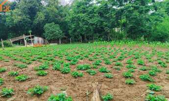 Imagem: Chácara com 3 Dormitorio(s) localizado(a)