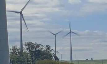 Imagem 3: Área de Terra com 3 Dormitorio(s) localizado(a) no bairro Rural em Santana do Livramento