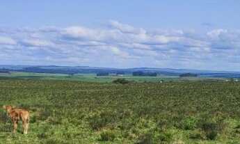 Imagem 2: Fazenda com 3 Dormitorio(s) localizado(a) no bairro Área Rural de Bagé em Bagé / Rio Gran