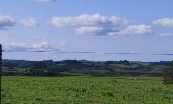 Imagem 3: Fazenda com 3 Dormitorio(s) localizado(a) no bairro Área Rural de Bagé em Bagé / Rio Gran