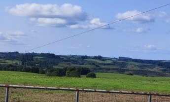 Imagem 4: Fazenda com 3 Dormitorio(s) localizado(a) no bairro Área Rural de Bagé em Bagé / Rio Gran