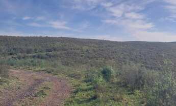 Imagem 7: Fazenda com 3 Dormitorio(s) localizado(a) no bairro Área Rural de Bagé em Bagé / Rio Gran