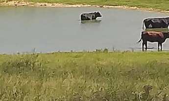 Imagem: Fazenda com 3 Dormitorio(s) localizado(a)