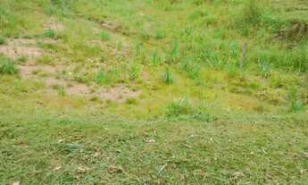 Imagem 4: Chácara à venda em Parobé, Morro da Pedra - Com açude e galpão