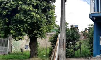 Imagem: Terreno à venda em Sapiranga, Amaral Ribeiro