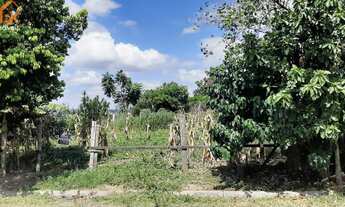 Imagem: Terreno em Sapiranga Venda no Bairro Amaral
