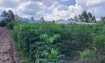 Imagem 3: Chácara com 2 Dormitorio(s) localizado(a) no bairro em Nova Hartz / Rio Grande do Sul Re