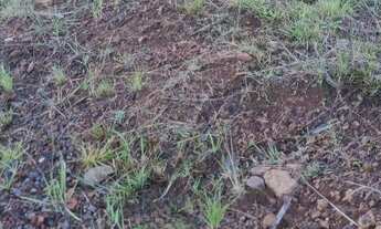 Imagem 2: Terreno à venda em Morro Reuter