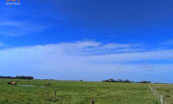 Imagem: Área de Terra com 5 Dormitorio(s) localizado(a)