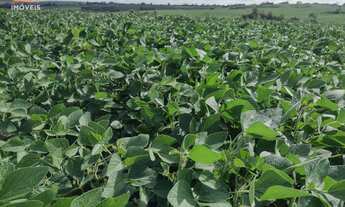 Imagem 2: Área de Terra com 280 hectares de área terreno, em Herval