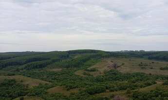Imagem 7: Fazenda com 2 Dormitorio(s) localizado(a) no bairro Área Rural de Bagé em Bagé / Rio Gran