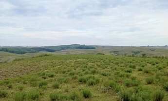Imagem 2: Fazenda com 2 Dormitorio(s) localizado(a) no bairro Área Rural de Bagé em Bagé / Rio Gran
