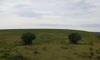 Imagem 3: Fazenda com 2 Dormitorio(s) localizado(a) no bairro Área Rural de Bagé em Bagé / Rio Gran