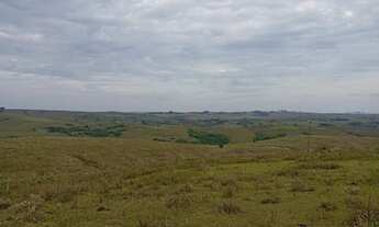 Imagem 4: Fazenda com 2 Dormitorio(s) localizado(a) no bairro Área Rural de Bagé em Bagé / Rio Gran