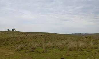 Imagem 5: Fazenda com 2 Dormitorio(s) localizado(a) no bairro Área Rural de Bagé em Bagé / Rio Gran