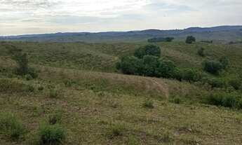 Imagem 6: Fazenda com 2 Dormitorio(s) localizado(a) no bairro Área Rural de Bagé em Bagé / Rio Gran