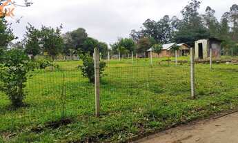 Imagem 2: Chácara com 3 Dormitorio(s) localizado(a) no bairro Campo da Brazina em Araricá / Rio Gra