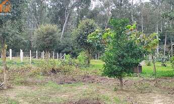 Imagem 7: Chácara com 3 Dormitorio(s) localizado(a) no bairro Campo da Brazina em Araricá / Rio Gra