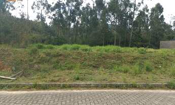 Imagem: Terreno à venda em Sapiranga, Amaral Ribeiro