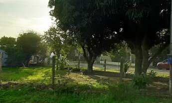 Imagem 3: Oportunidade: Terreno para venda em Sapiranga, Vila Irma