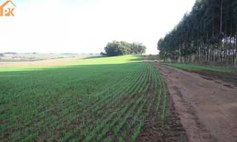 Imagem: Fazenda a venda entre Pântano Grande e