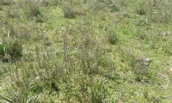 Imagem: Fazenda com 3 Dormitorio(s) localizado(a)