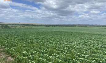 Imagem: Fazenda com 2 Dormitorio(s) localizado(a)