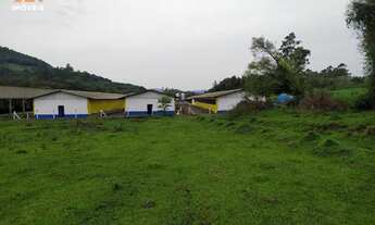 Imagem 7: GRANJA DE SUINOS