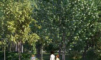 Imagem: Terreno com 2 Dormitorio(s) localizado(a)