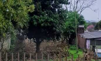 Imagem 3: Terreno à venda em Sapiranga, Bairro Centenário