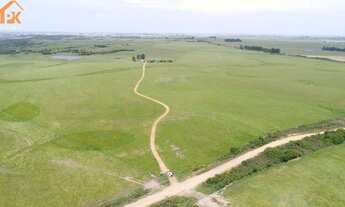Imagem 3: Fazenda com 2 Dormitorio(s) localizado(a) no bairro Área Rural de Bagé em Bagé / Rio Gran