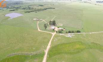Imagem 5: Fazenda com 2 Dormitorio(s) localizado(a) no bairro Área Rural de Bagé em Bagé / Rio Gran