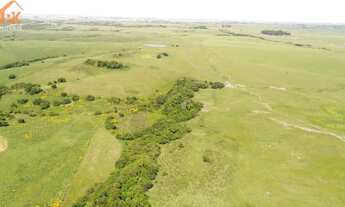 Imagem 6: Fazenda com 2 Dormitorio(s) localizado(a) no bairro Área Rural de Bagé em Bagé / Rio Gran