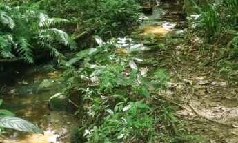 Imagem: Exelente chacara na parte rural do bairro