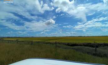 Imagem 2: Fazenda localizado(a) no bairro Águas Claras em Viamão / Rio Grande do Sul Ref.:1642