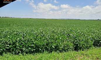 Imagem 6: Fazenda localizado(a) no bairro Águas Claras em Viamão / Rio Grande do Sul Ref.:1642